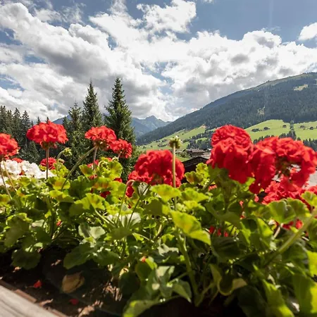 Gaestehaus Gratlspitz 3*