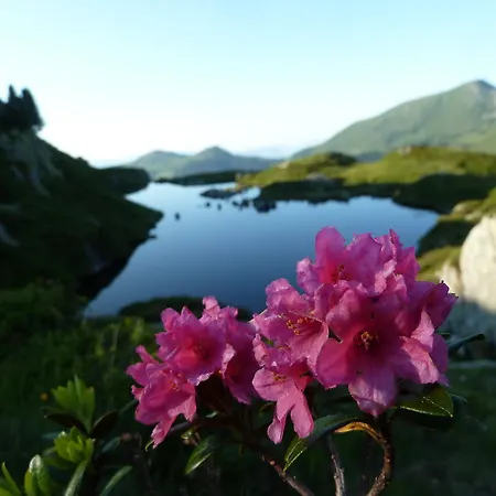 Gaestehaus Gratlspitz Penzion 3*