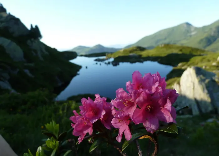 Gaestehaus Gratlspitz Pensionat 3*